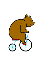 bear on a Bicycle vector illustration