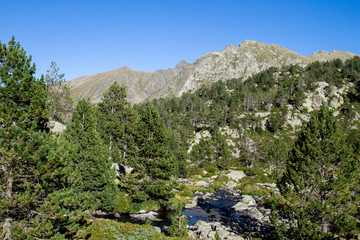 Mountain landscape in the pyrenes
