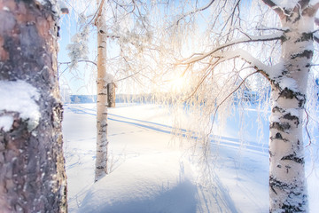 Cold winter day landscape from Sotkamo, Finland.