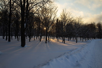 Peterhof, fountains and park in winter