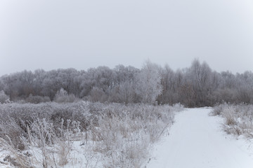 Russian provincial natural landscape in gloomy weather