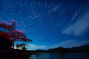 Beautiful Spiral Star Trails over filed with lonely tree. Beautiful night sky. Vortex star trails