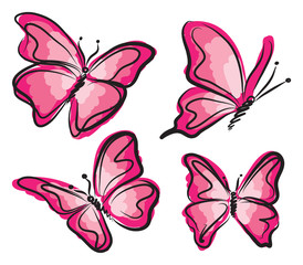 pink butterfly illustration