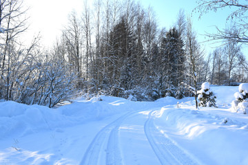 road in winter forest