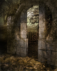 Obraz premium Mystery Gate