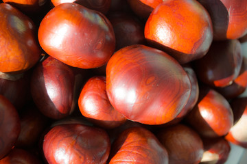 chestnuts close up