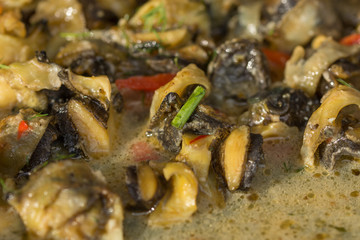 Fried Sea Snails with Chili,Rapane  Sulina,ROMANIA