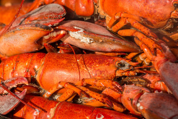 Preparation for homemade crab with allspice and bay leaf