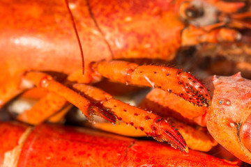 How to Cook Lobster and Crab ,with allspice and bay leaf