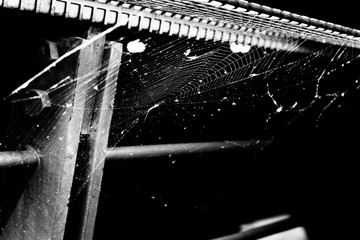 Fototapeta na wymiar A spider web on metal railings awaits the built-in light. Black and white