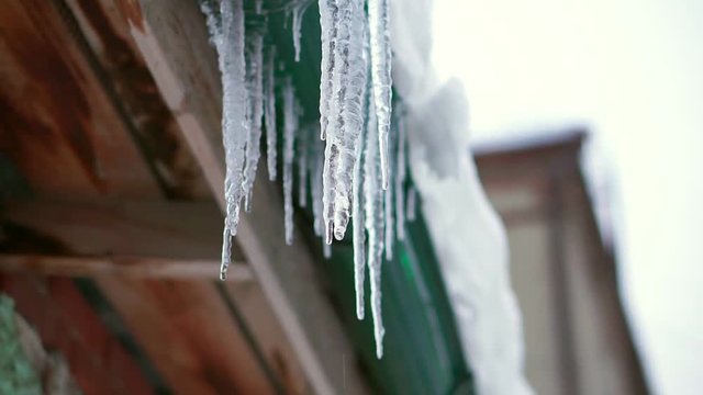 Melting icicles dripping. Hang from the roof and drain