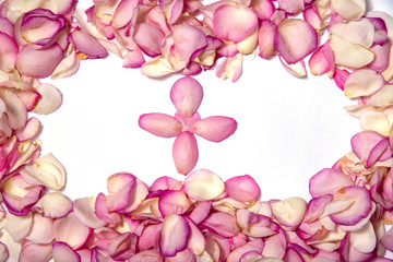 Fototapeta na wymiar rose petals on a white background1