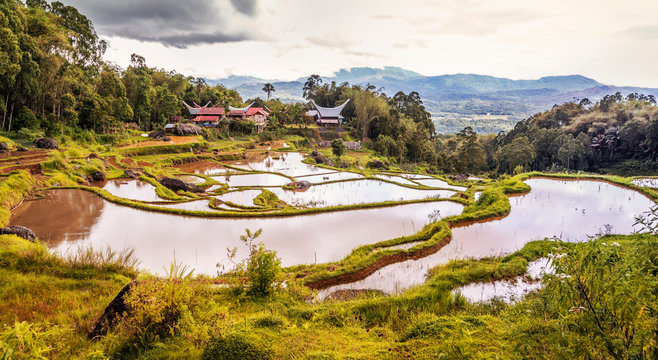 Sulawesi, Toraja Utara; Das Hochland von Nordtoraja. Die Berglandschaft rund um die Stadt Rantepao.