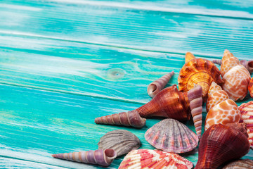 Obraz na płótnie Canvas Different sea shells on color wooden background