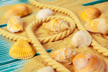 Sea sand and Sea shells on blue wooden floor
