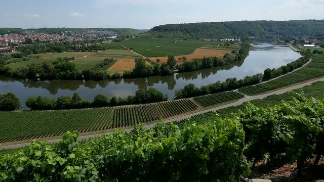 Neckar River near Mundelsheim am Neckar close to Ludwigsburg, Baden-Wurttemberg, Germany, Europe