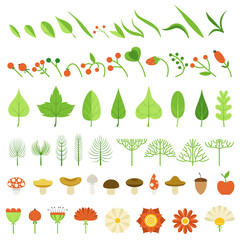 Vector illustration. Botanical collection. Mushrooms, berries, flowers, herbs, and other natural elements.