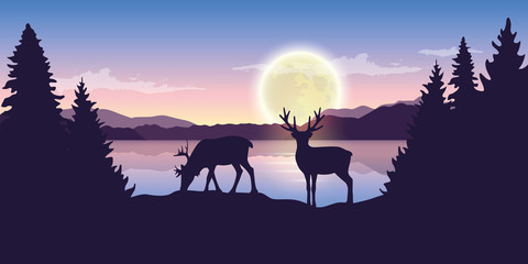two reindeers by the lake at night with full moon purple nature landscape vector illustration EPS10