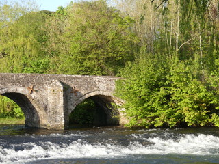 Fototapeta na wymiar A Medieval stone bridge crossing the River Exe in Bickleigh village, Devon, England, UK
