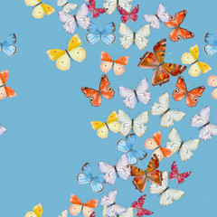 seamless texture with flying colorful butterflies on blue background. watercolor painting