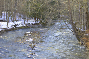 Brook in Winter