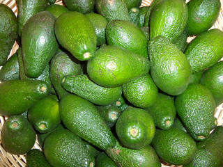 a bunch of ripe avocados