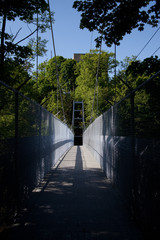 Suspension Bridge at Cornell