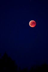 Blutmond
