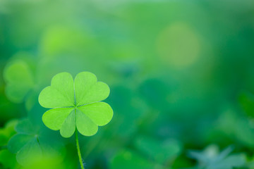 Lucky Irish Four Leaf Clover for St. Patricks Day Background Design Element