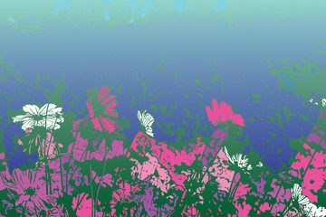 many cosmos flowers vector