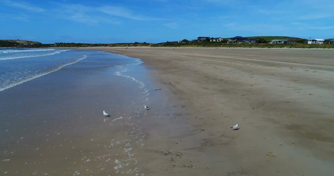 New Zealand Tourist standing on beach in aerial drone footage of beach landscape at Te Waewae Bay beach, Orepuki, the Southland region of south island of New Zealand. Woman tourist walking on beach