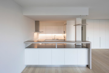 Modern kitchen with large hood and parquet