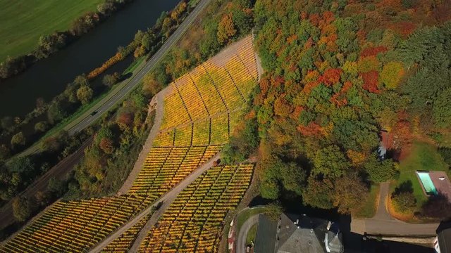 Aerial view of the vineyard estate Saarstein near Serrig, Saar River, Saar Valley near Saarburg, Rhineland-Palatinate, Germany