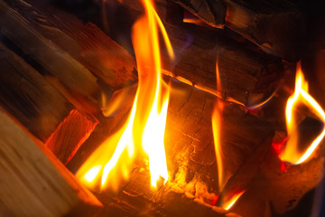 Large orange firewood burns in a bright orange flame.