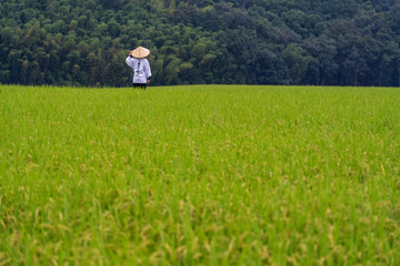 旅の途中