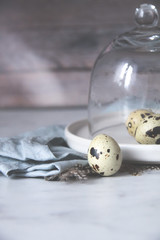Obraz premium Eggs quail towel plate glass dome