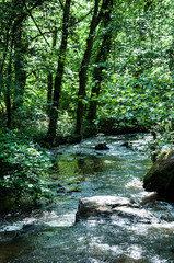 Obraz premium La Cazine / 6