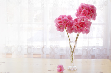A vase of pink geranium flowers against a lace curtain.