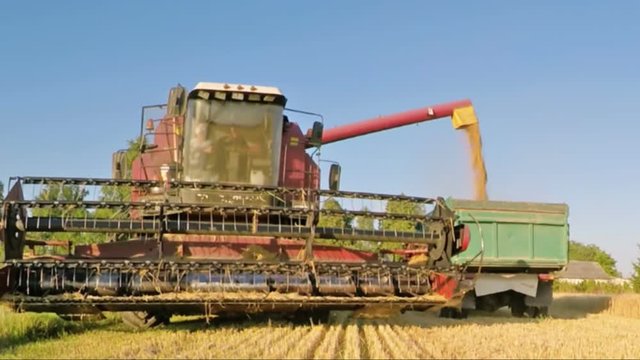 Tractor harvesting grain crops