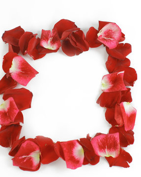 close up.congratulatory frame of red rose petals
