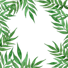 Watercolor palm tree leaves frame