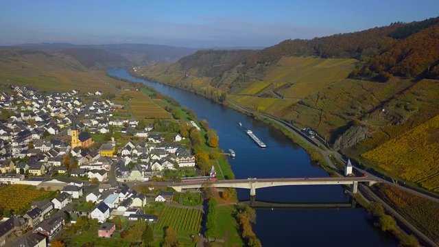 Aerial view of vineyards in autumn near Trittenheim, Moselle River, Moselle Valley, Rhineland-Palatinate, Germany