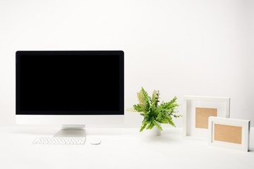 workplace with plant, photo frames and desktop computer with copy space isolated on white