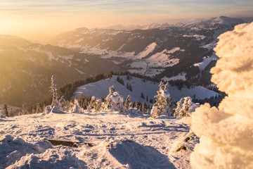 Sonnenuntergang in den Allgäuer Alpen - Winterwonderland am Riedberger Horn