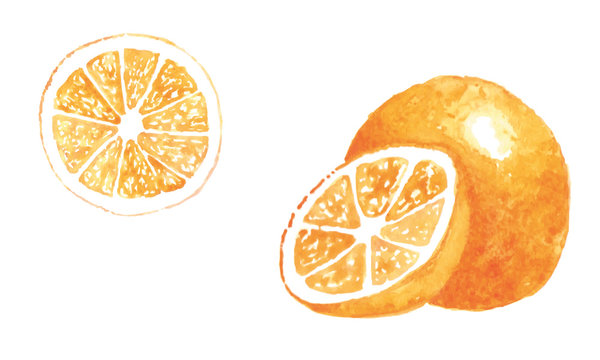 Orange cut in half isolated on white background. Hand painted watercolor illustration