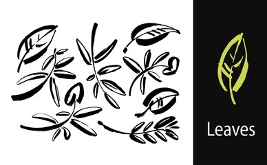 Leaf icons isolated on white background. Logo sign design. Modern brush ink illustration. Vector