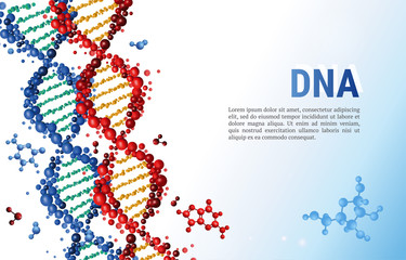 Red and blue DNA sequences background template for presentation, poster, web. Color vector illustration