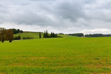 Fototapeta na wymiar green field landscape