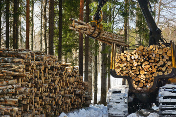 Forest felling works