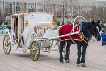 Конный экипаж